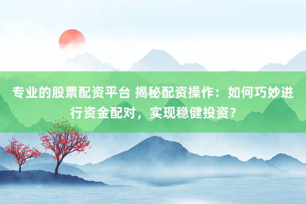 专业的股票配资平台 揭秘配资操作：如何巧妙进行资金配对，实现稳健投资？