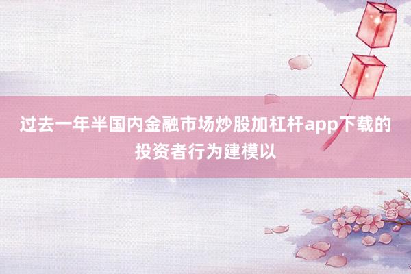 过去一年半国内金融市场炒股加杠杆app下载的投资者行为建模以