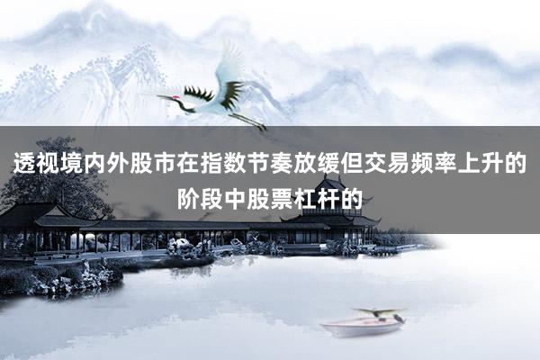 透视境内外股市在指数节奏放缓但交易频率上升的阶段中股票杠杆的