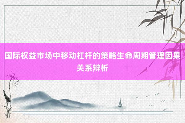 国际权益市场中移动杠杆的策略生命周期管理因果关系辨析