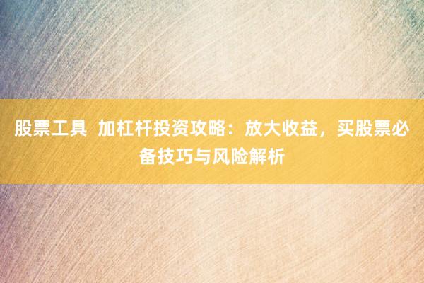 股票工具 加杠杆投资攻略:放大收益,买股票必备技巧与风险解析