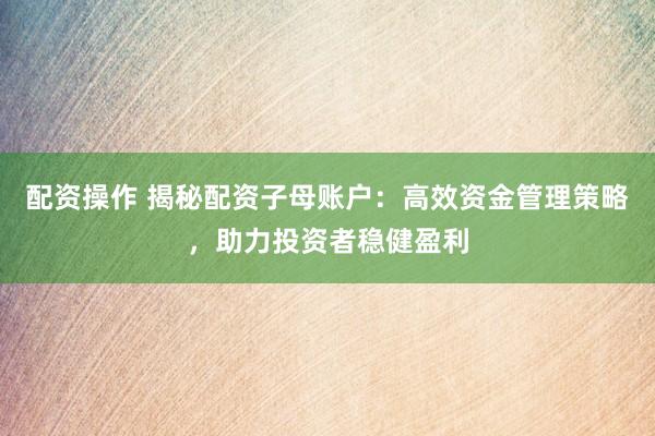 配资操作 揭秘配资子母账户：高效资金管理策略，助力投资者稳健盈利