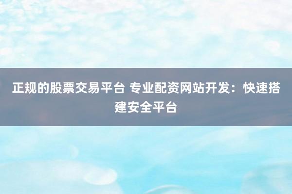 正规的股票交易平台 专业配资网站开发：快速搭建安全平台